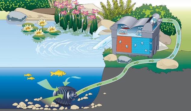piscine